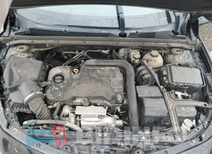 1G1ZB5ST5GF350309 Photo# 11