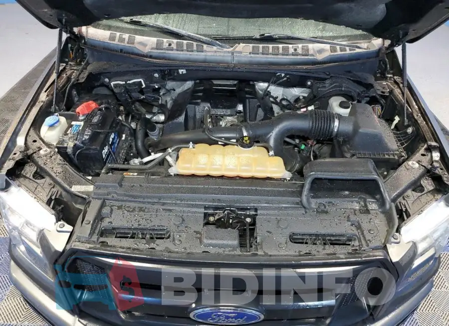 1FTMF1EP7GKD43561 Photo# 11