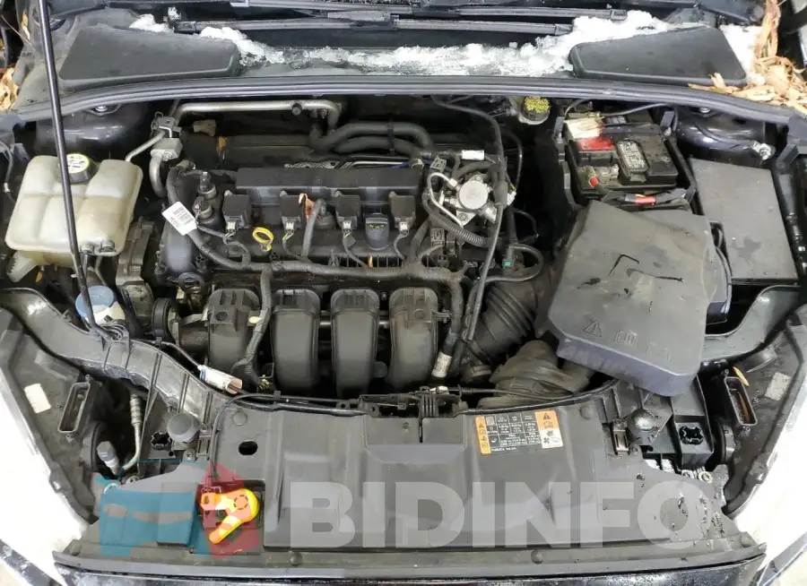 1FADP3F27GL386003 Photo# 11