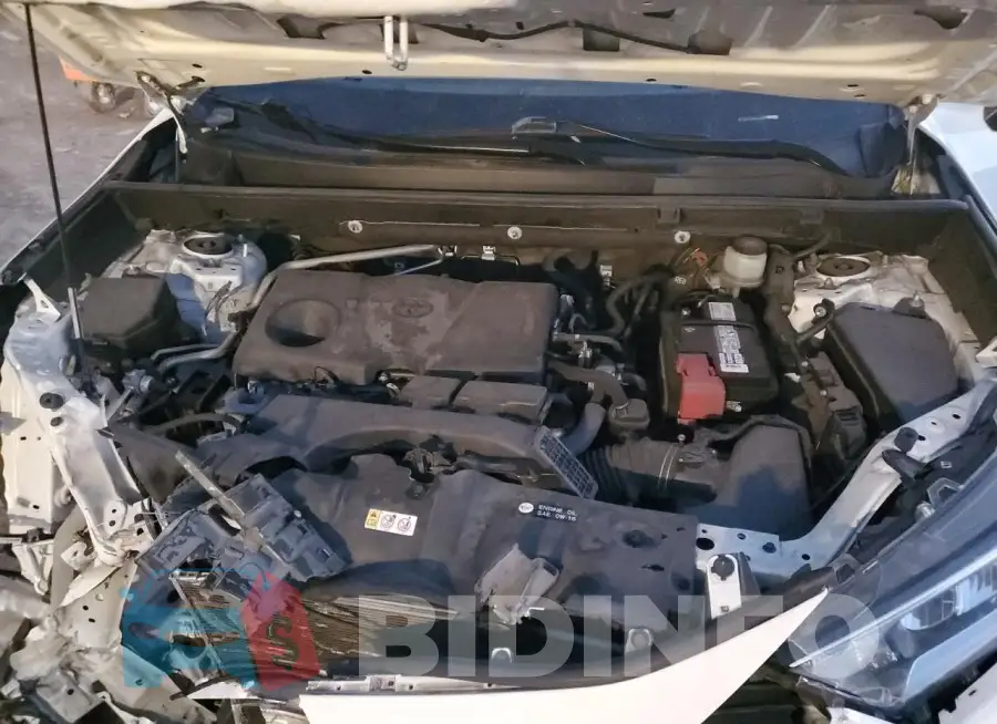 JTMW1RFV6KD003382 Photo# 12