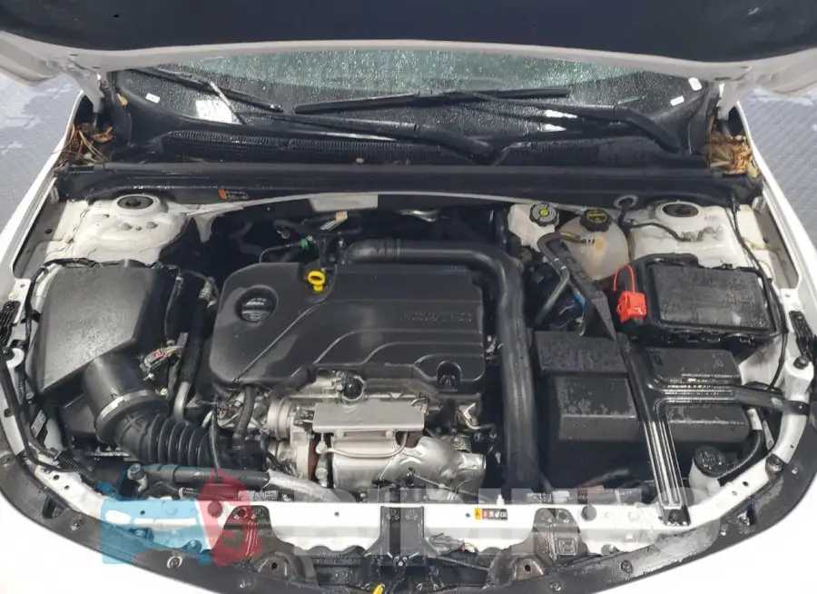 1G1ZD5ST1RF206284 Photo# 11