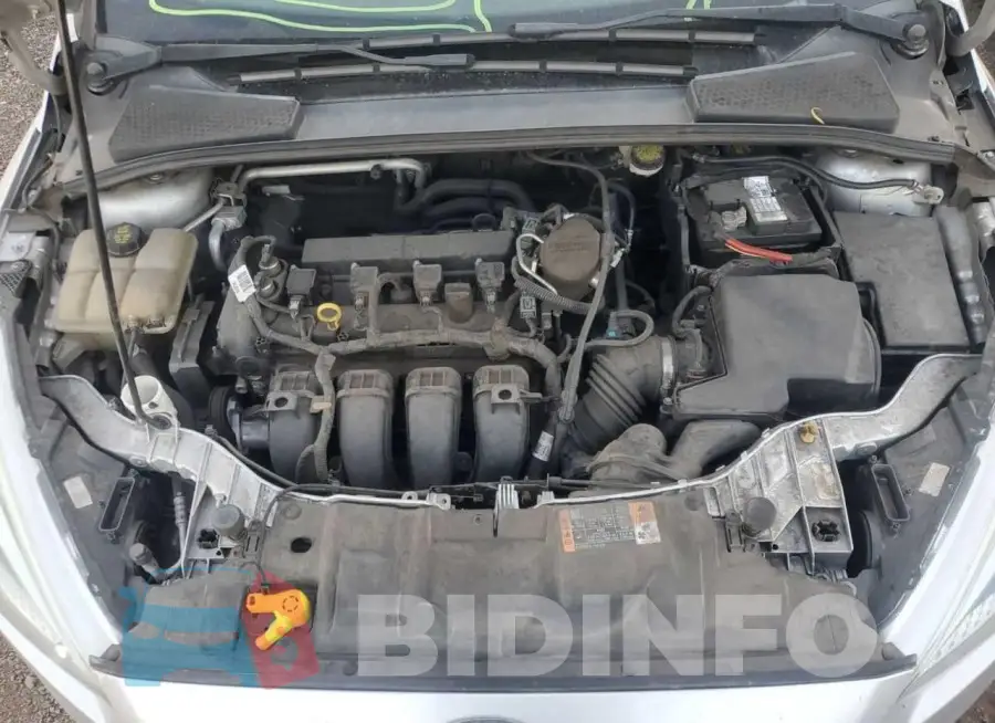 1FADP3F24GL238620 Photo# 7
