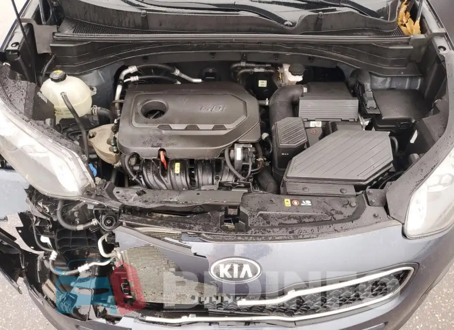 KNDPM3AC9H7150852 Photo# 12
