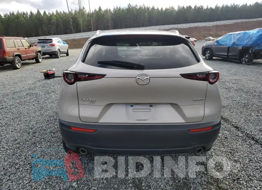 3MVDMBCL2NM442014 Photo# 6