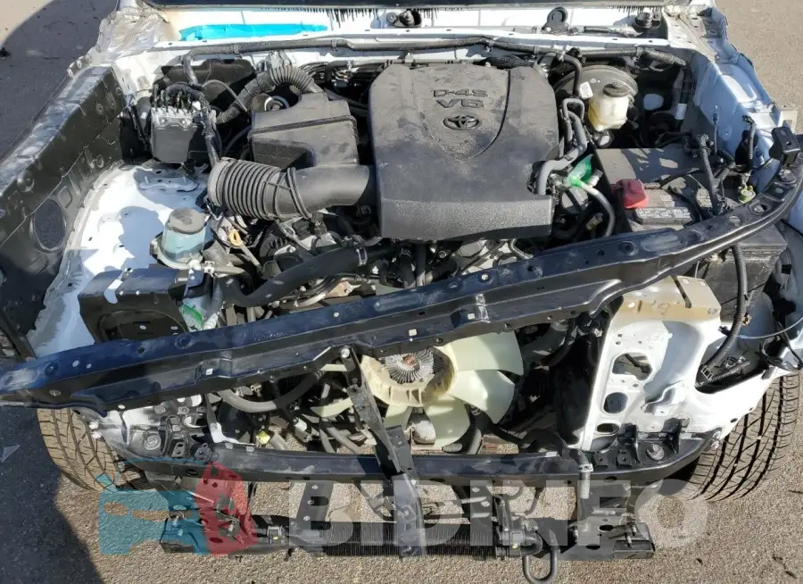 3TMCZ5AN3NM488651 Photo# 11