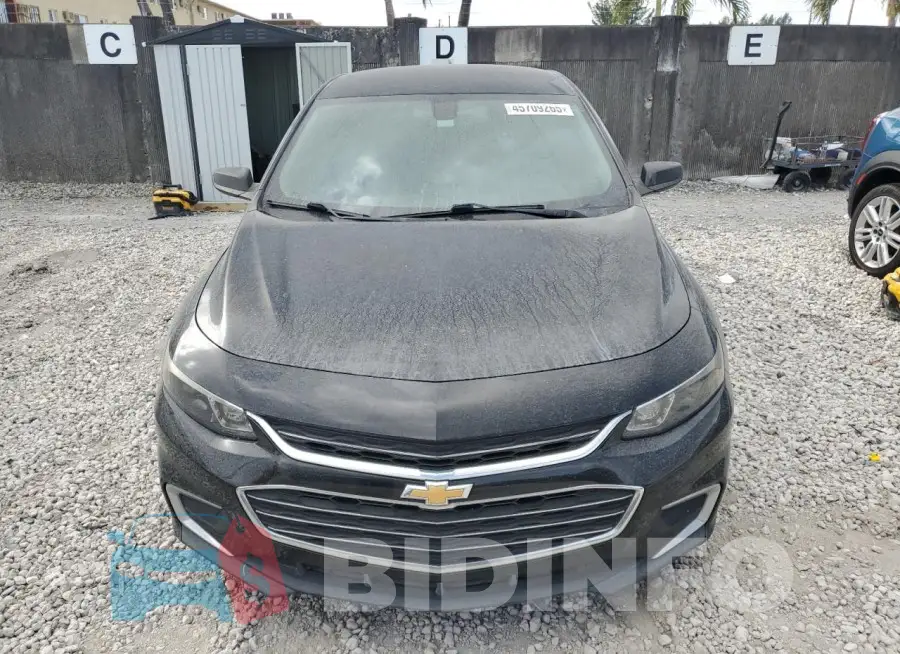 1G1ZB5ST1GF313631 Photo# 5