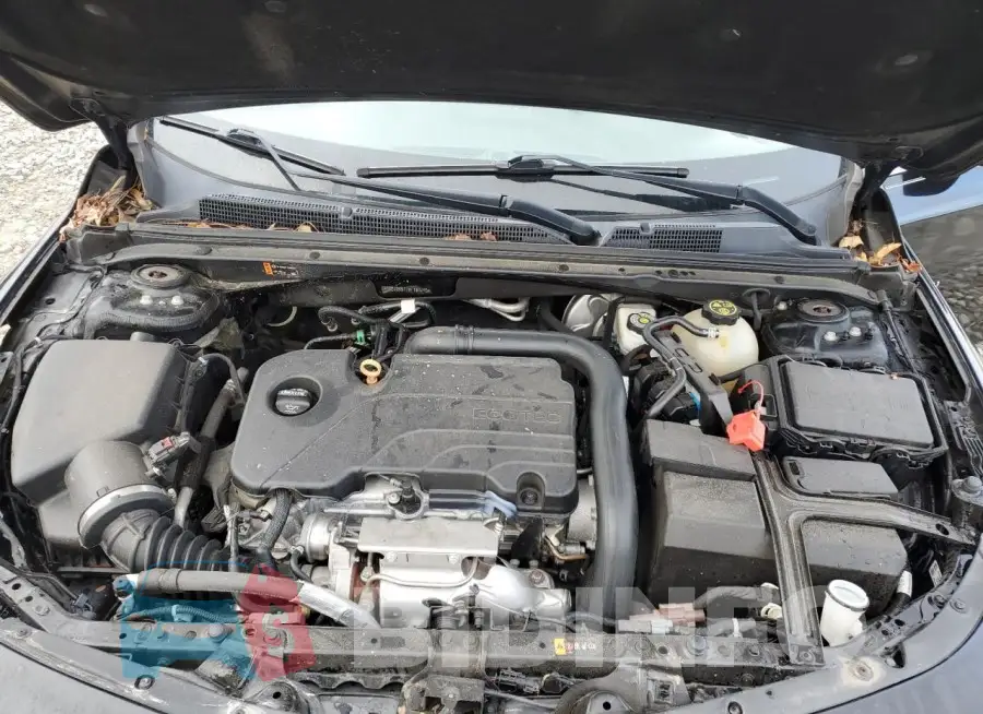 1G1ZD5ST7KF187293 Photo# 11
