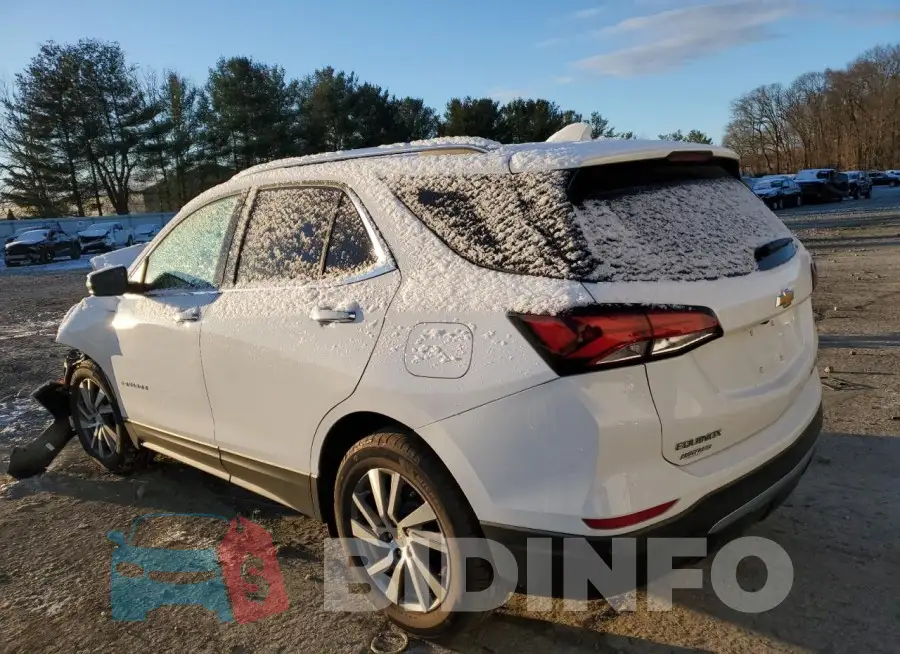 3GNAXXEG4RL291754 Photo# 2