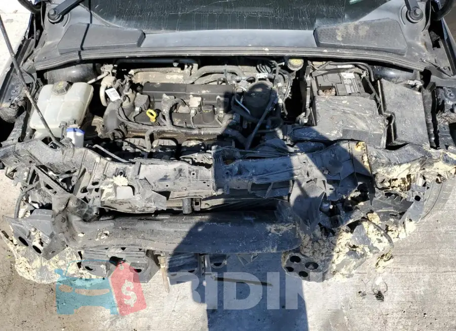 1FADP3F21GL219328 Photo# 11