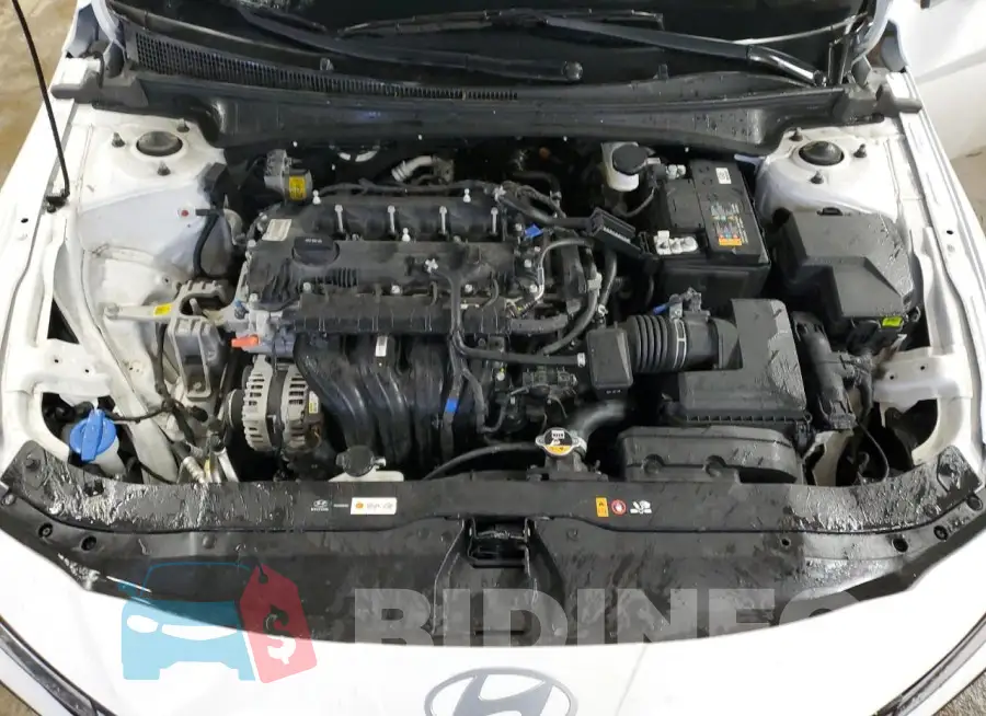 KMHLM4DG9RU740048 Photo# 11