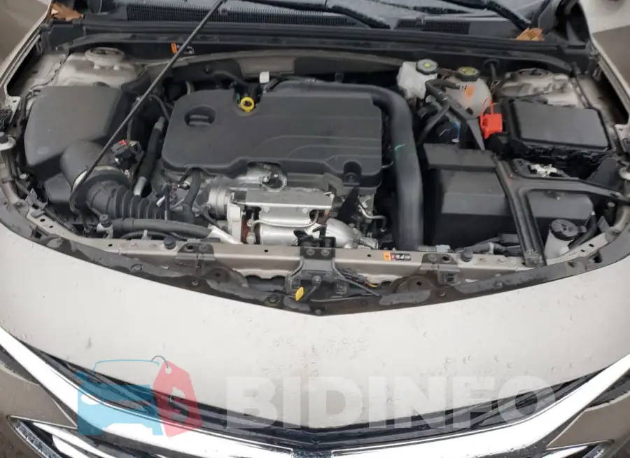 1G1ZD5ST8RF171890 Photo# 11