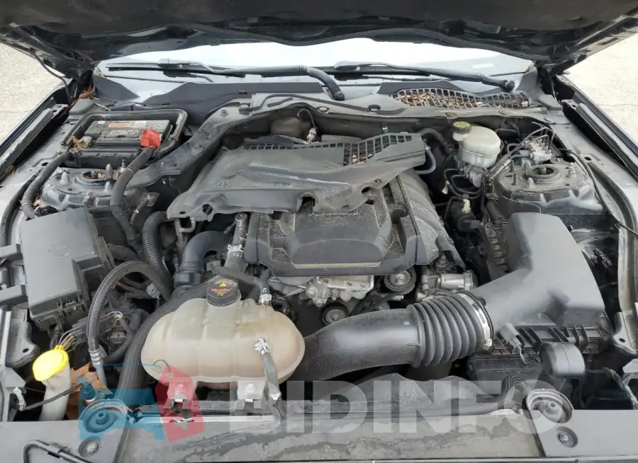 1FA6P8TH8H5342841 Photo# 11