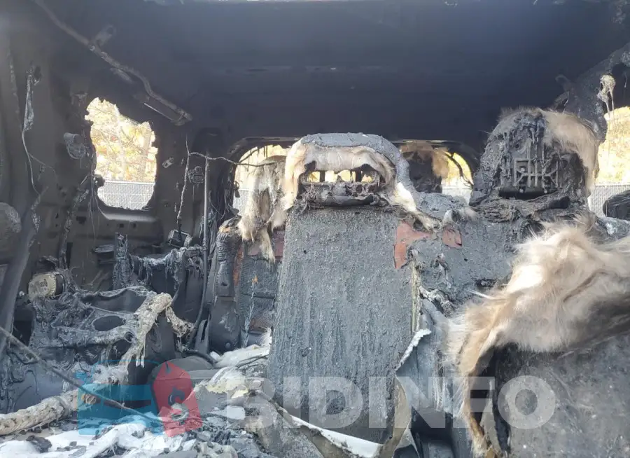 1FM5K8D89HGB38245 Photo# 10
