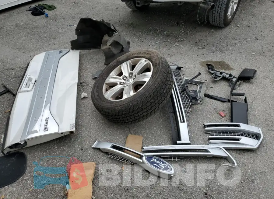 1FTEW1EG7HFB14084 Photo# 12