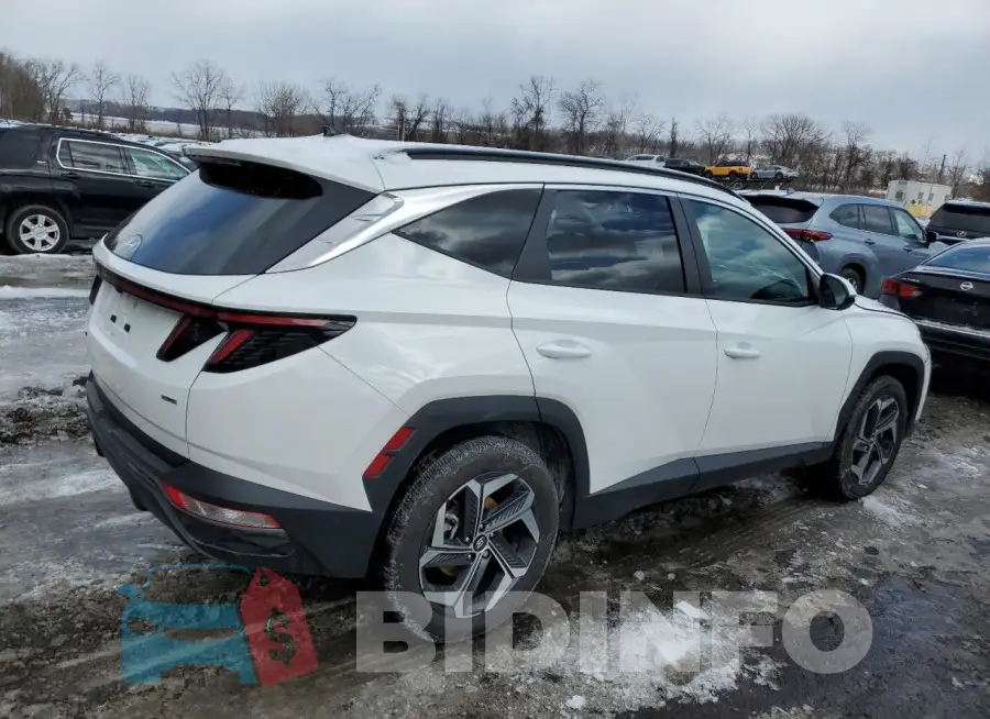 5NMJFCDE8RH382043 Photo# 3