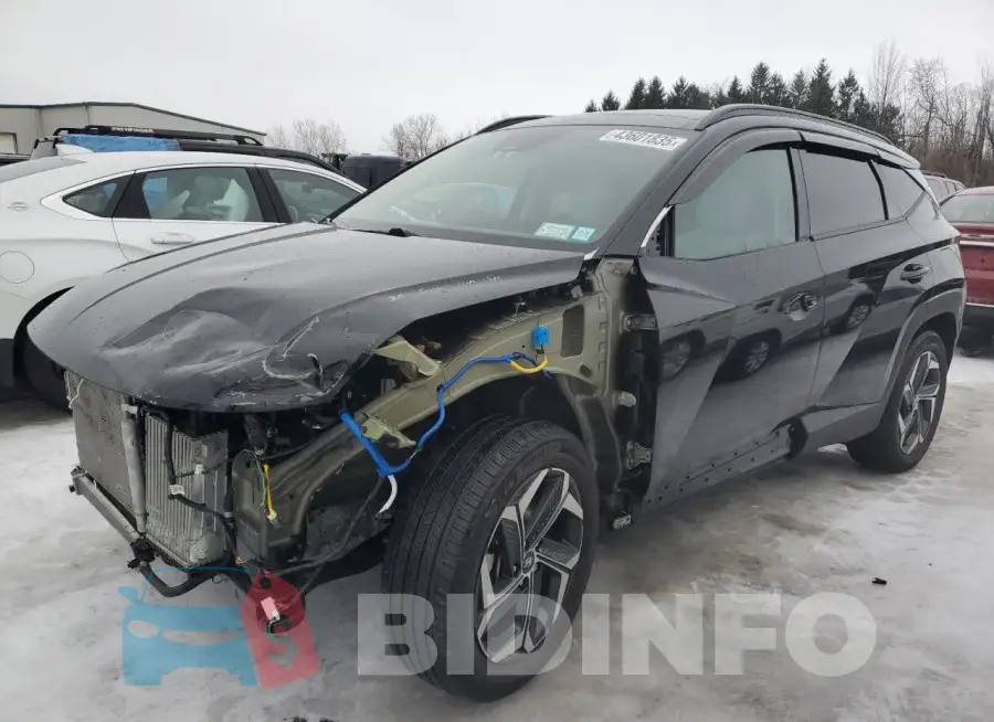 KM8JECD17RU146472 Photo# 1