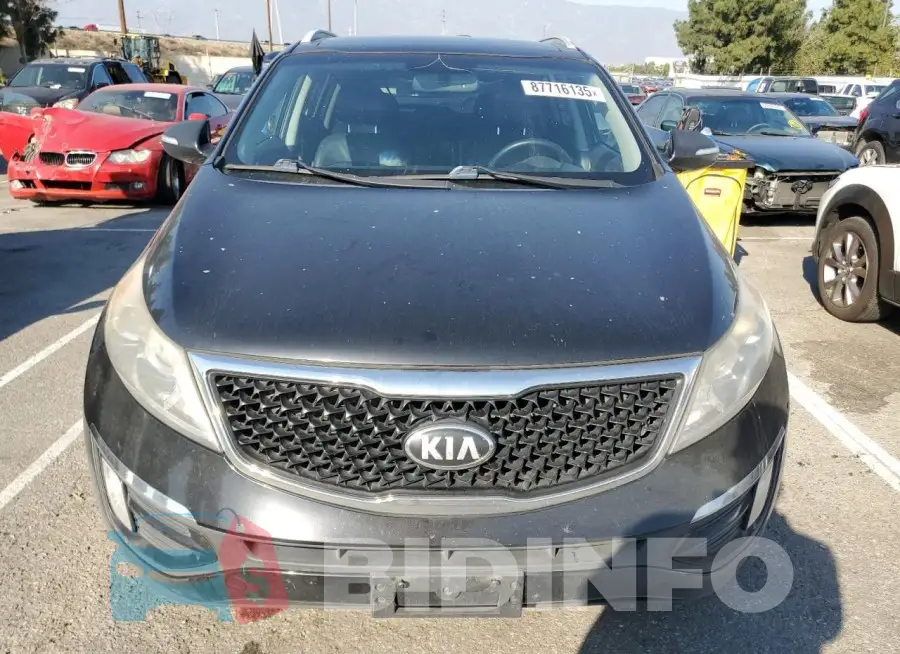 KNDPC3AC3G7840226 Photo# 5
