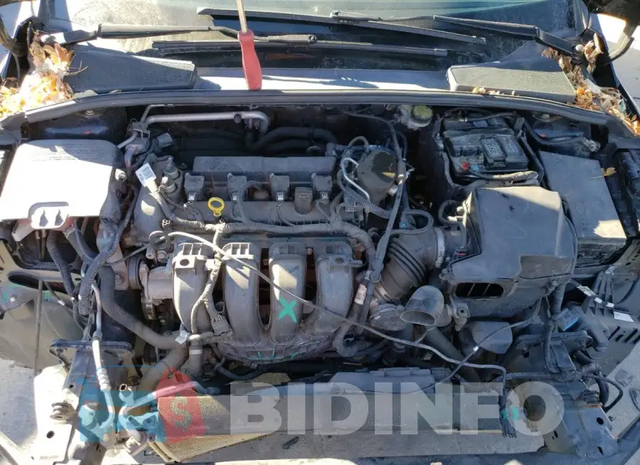 1FADP3K21GL229668 Photo# 11