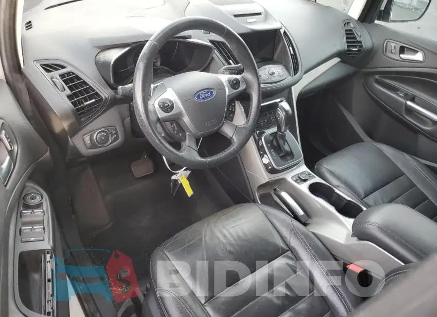1FADP5CU3GL116798 Photo# 8