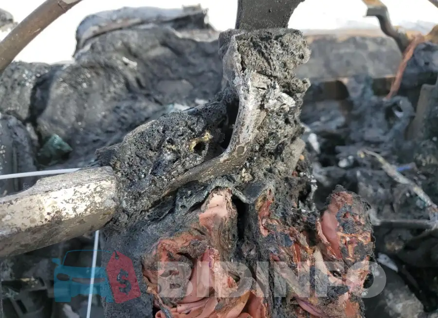 1FTEW1EG2GFD13025 Photo# 9