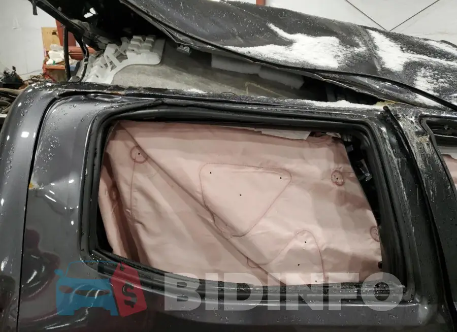 3TYCZ5AN3PT175168 Photo# 10