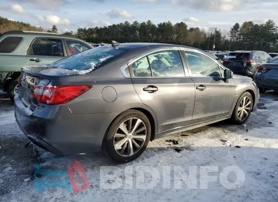 4S3BNAN69J3041689 Photo# 3