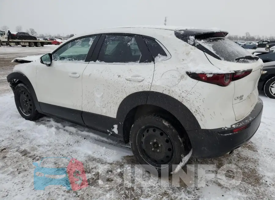 3MVDMBCL6MM227167 Photo# 2
