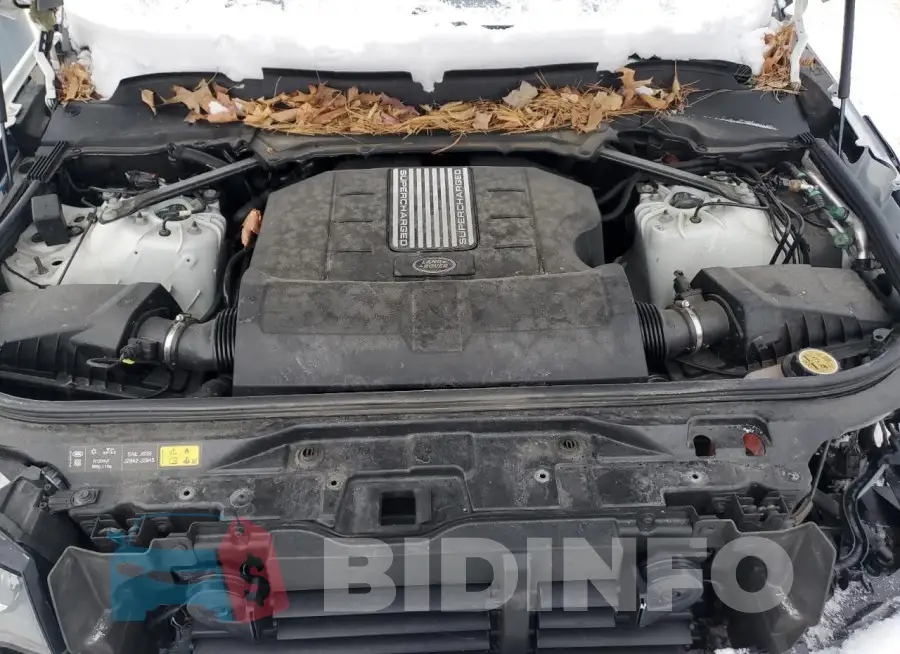 SALRG2RV4L2432380 Photo# 12