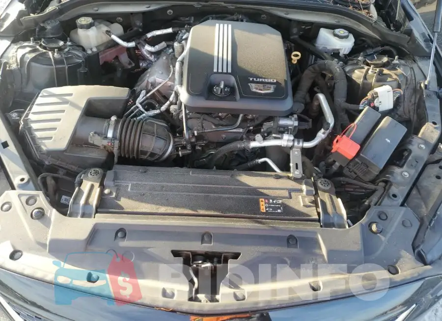 1G6DN5RK8L0114467 Photo# 11