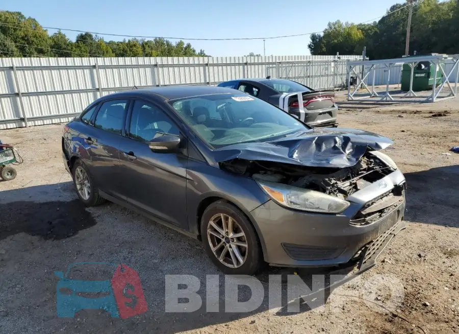 1FADP3F24GL323943 Photo# 4
