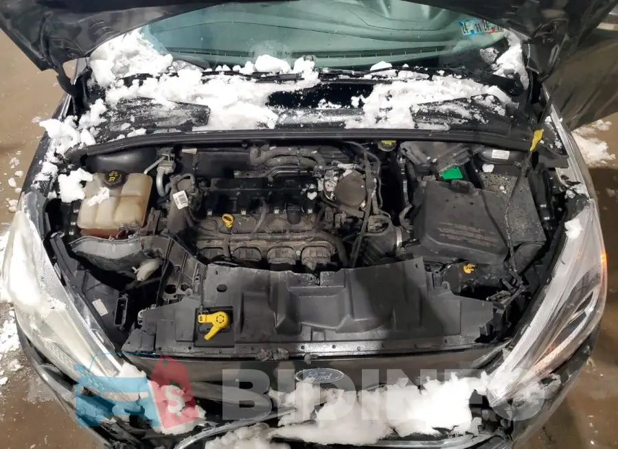 1FADP3F29GL266879 Photo# 11