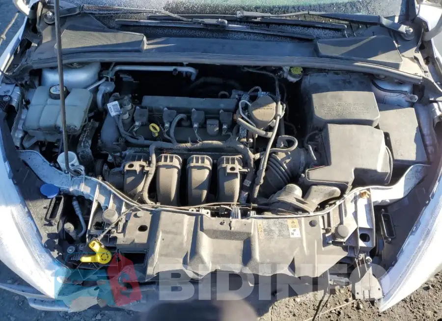 1FADP3F2XGL255289 Photo# 11