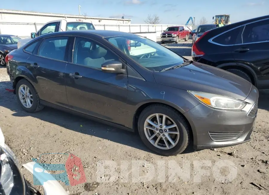 1FADP3F2XGL310243 Photo# 4