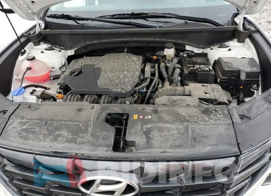 5NMJACDE5RH295411 Photo# 12
