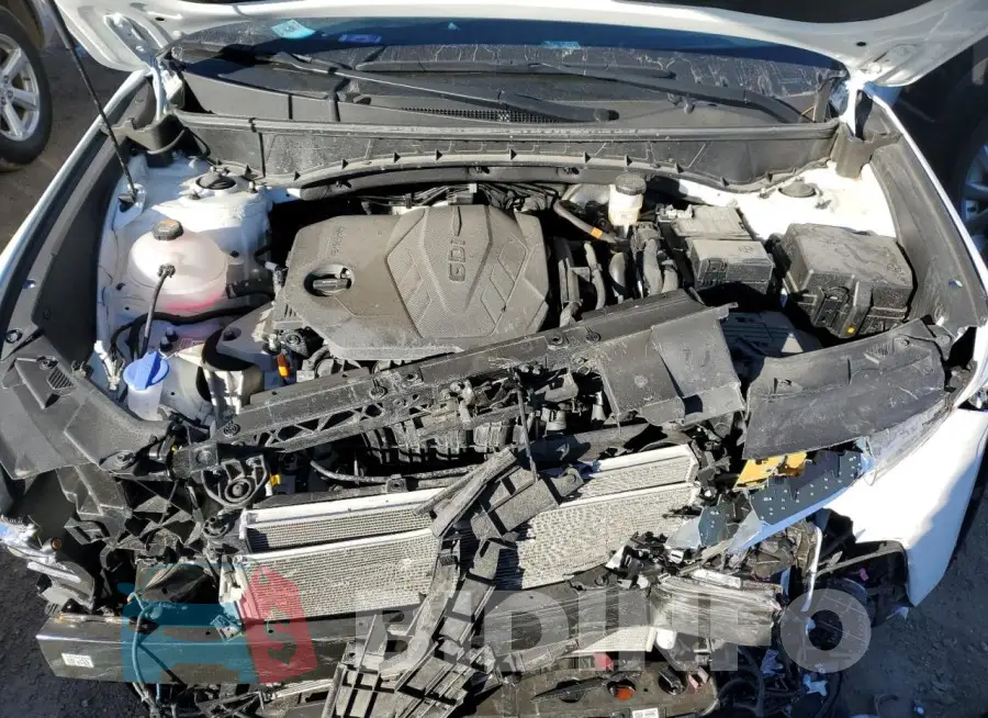 5NMJB3AE8PH264765 Photo# 11
