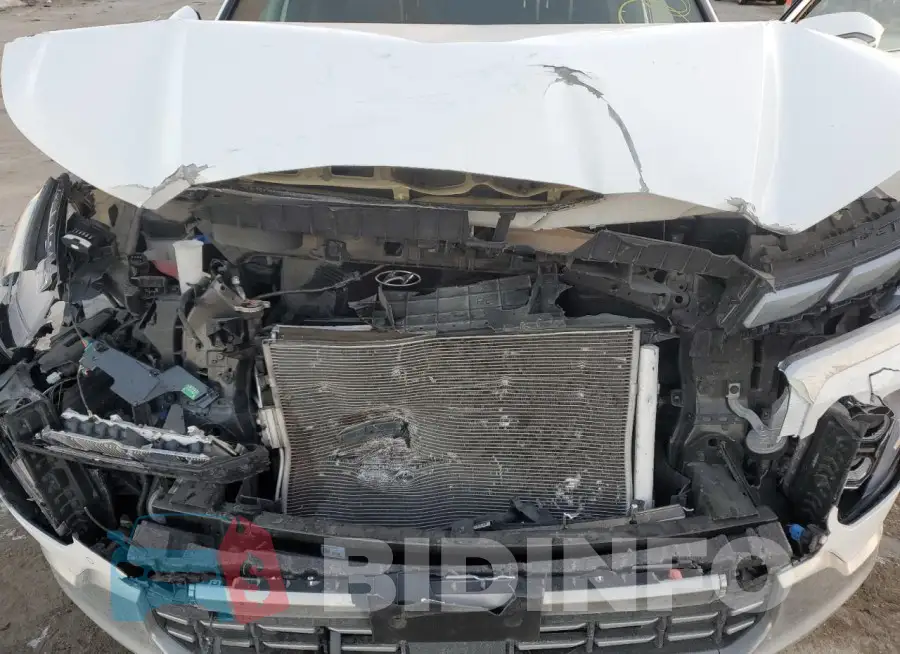 KM8R7DGE8PU512440 Photo# 12