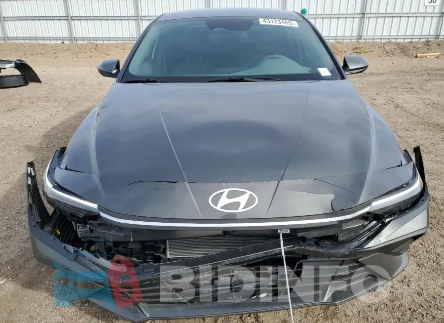 KMHLM4DG3RU750347 Photo# 5