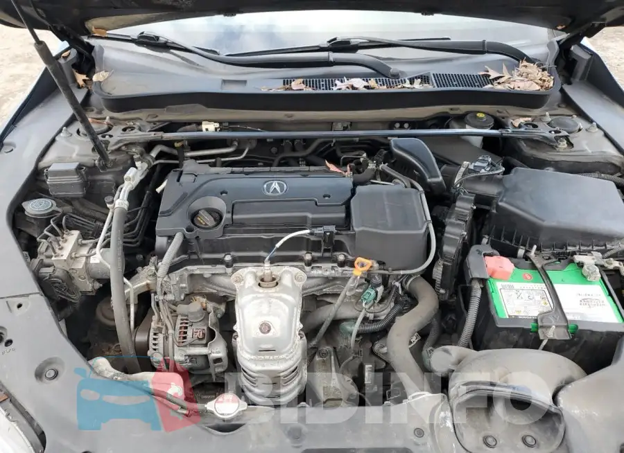 19UUB1F52GA007431 Photo# 11