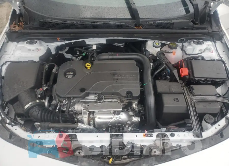 1G1ZC5ST8RF227846 Photo# 11