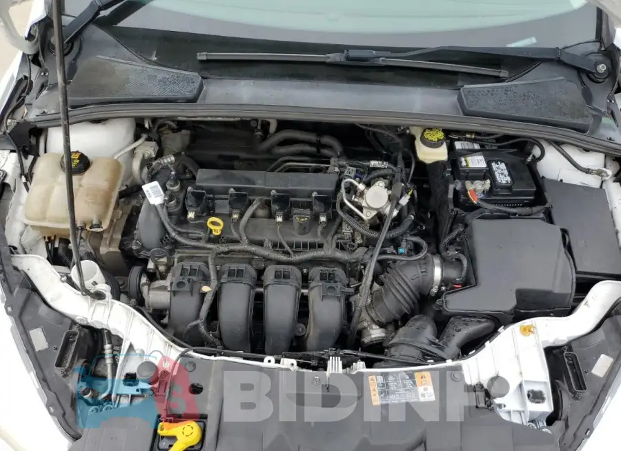 1FADP3K22HL231821 Photo# 11