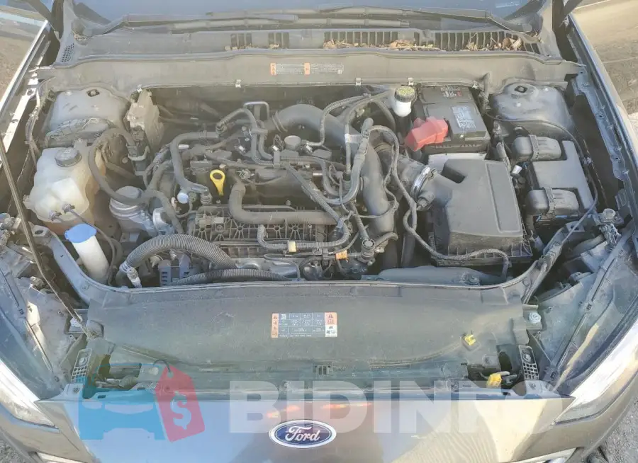 3FA6P0HD4LR191011 Photo# 11