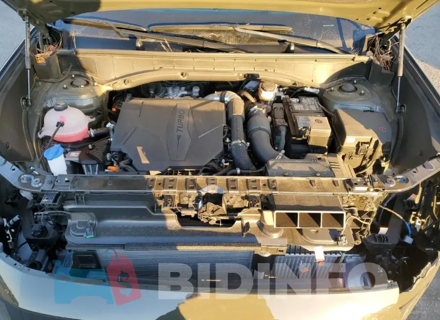 5NMP2DGL5RH009953 Photo# 12