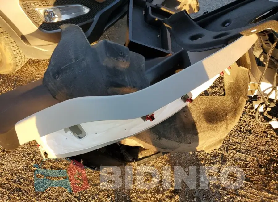LRBFXCSAXLD052941 Photo# 13