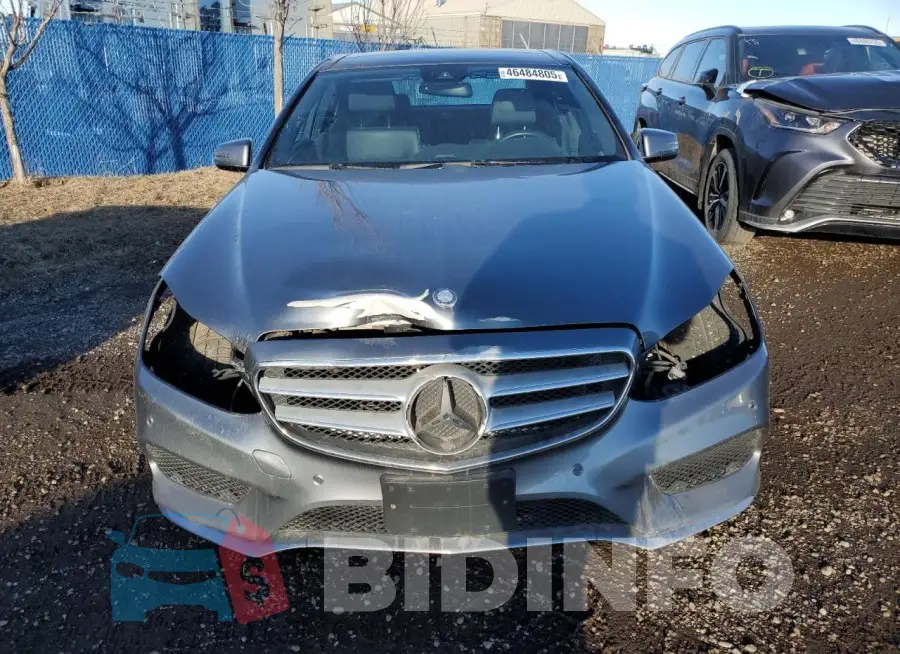 WDDHF8BBXGB309543 Photo# 5