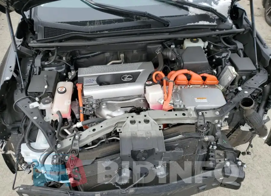 JTJGJRDZ7L2139573 Photo# 12