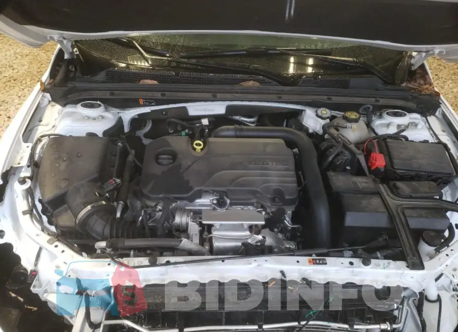 1G1ZC5ST5PF186444 Photo# 11