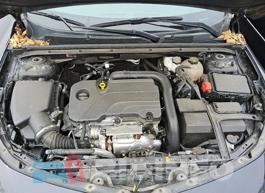1G1ZD5ST3PF230082 Photo# 11