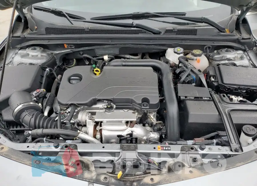 1G1ZD5ST5RF178148 Photo# 11