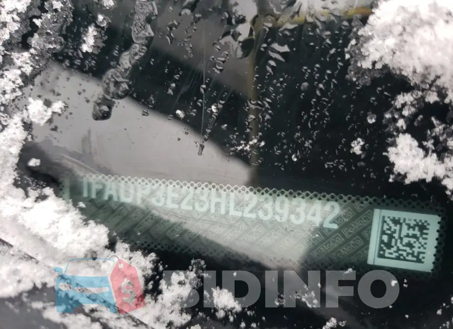 1FADP3E23HL239342 Photo# 12