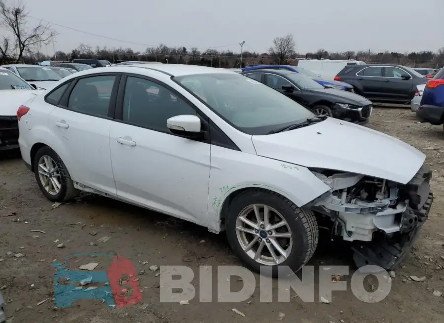 1FADP3F29GL255266 Photo# 4
